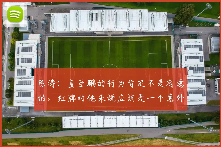 陈涛：姜至鹏的行为肯定不是有意的，红牌对他来说应该是一个意外